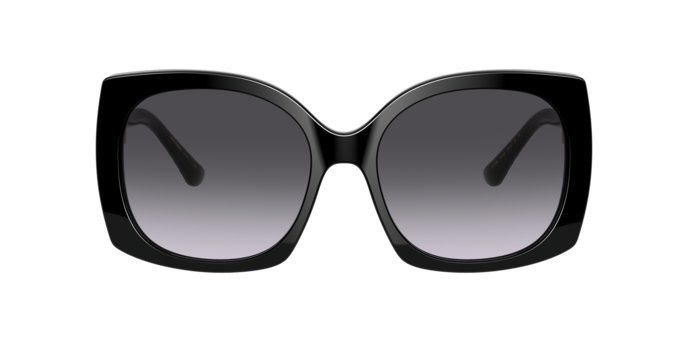 DOLCE & GABBANA  GLASSES 04