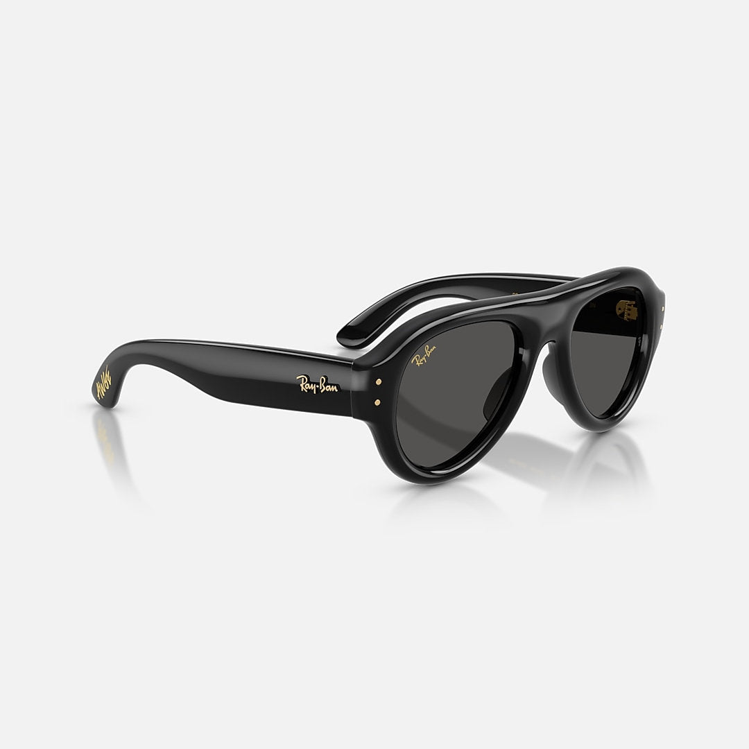 RAYBAN GLASSES 42