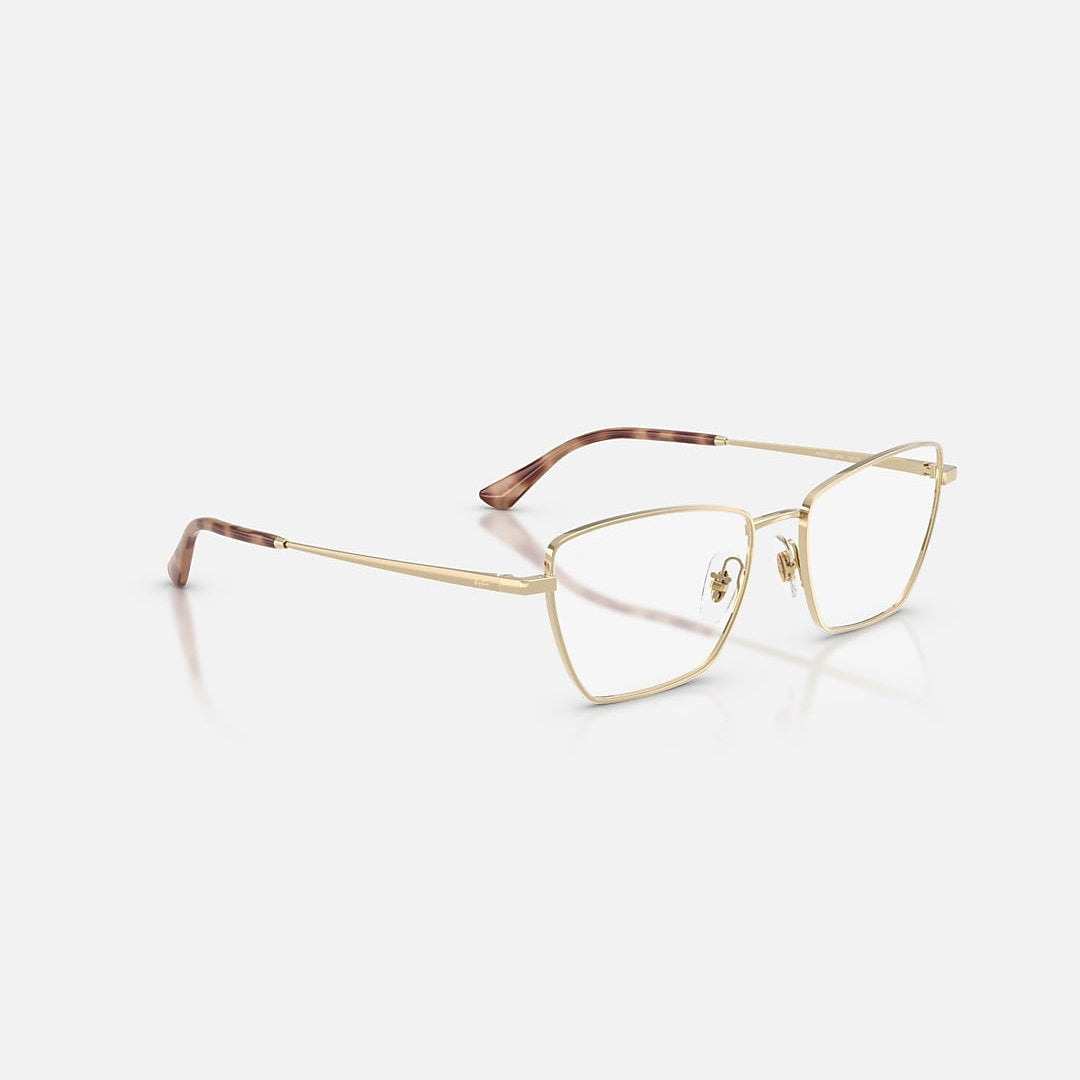RAYBAN GLASSES 49