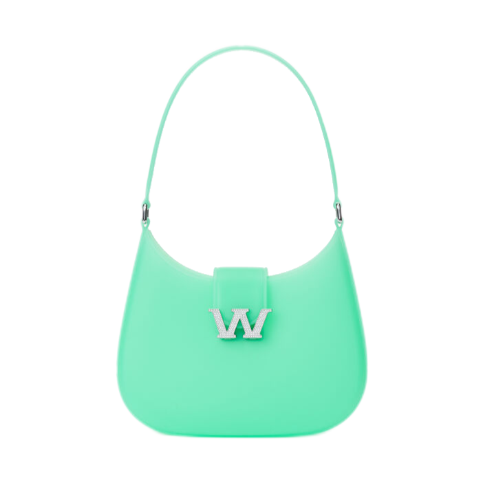 ALEXANDER WANG BAG 05