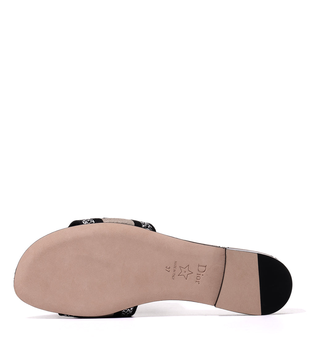 DIOR SLIDES 07