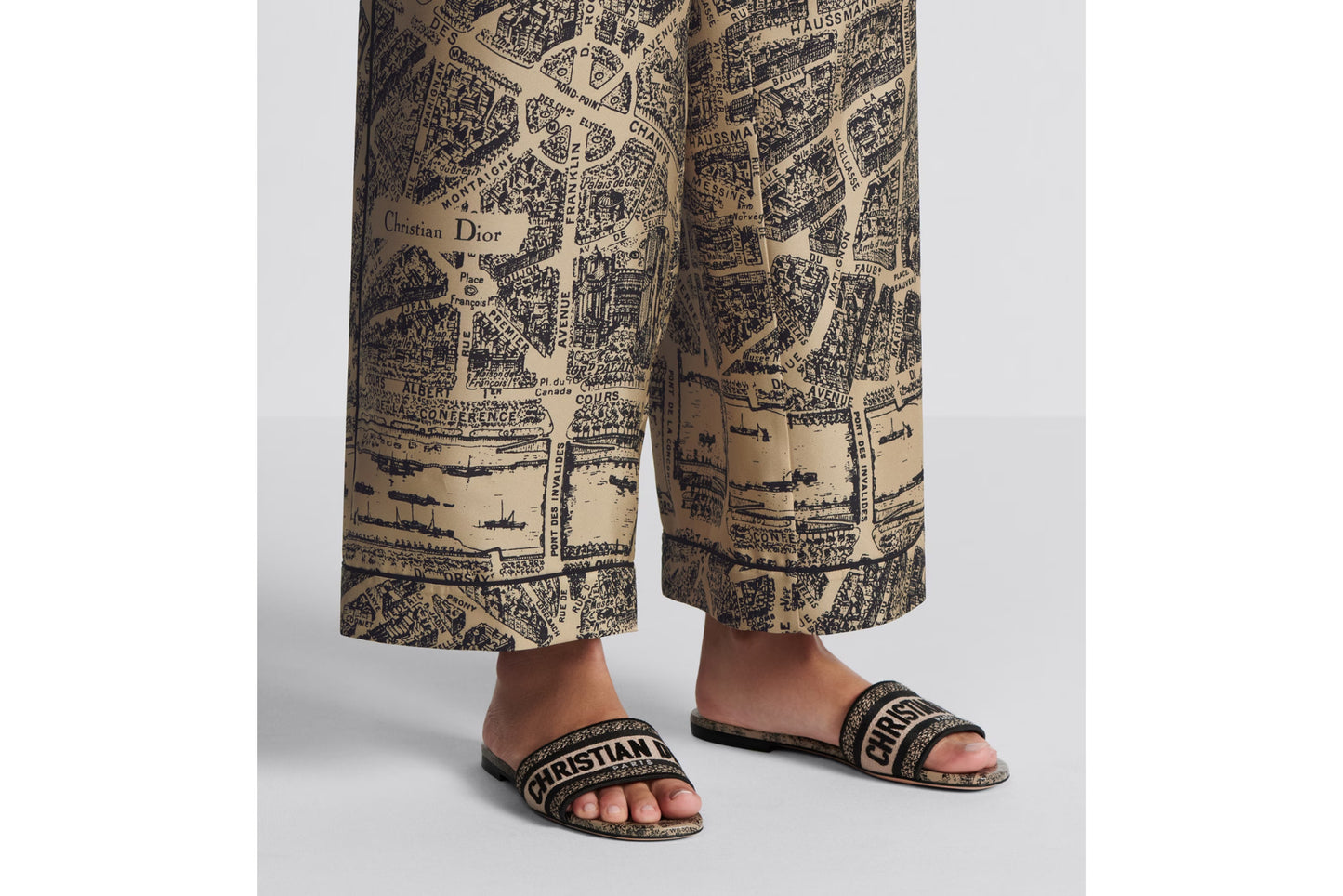 DIOR SLIDES 14