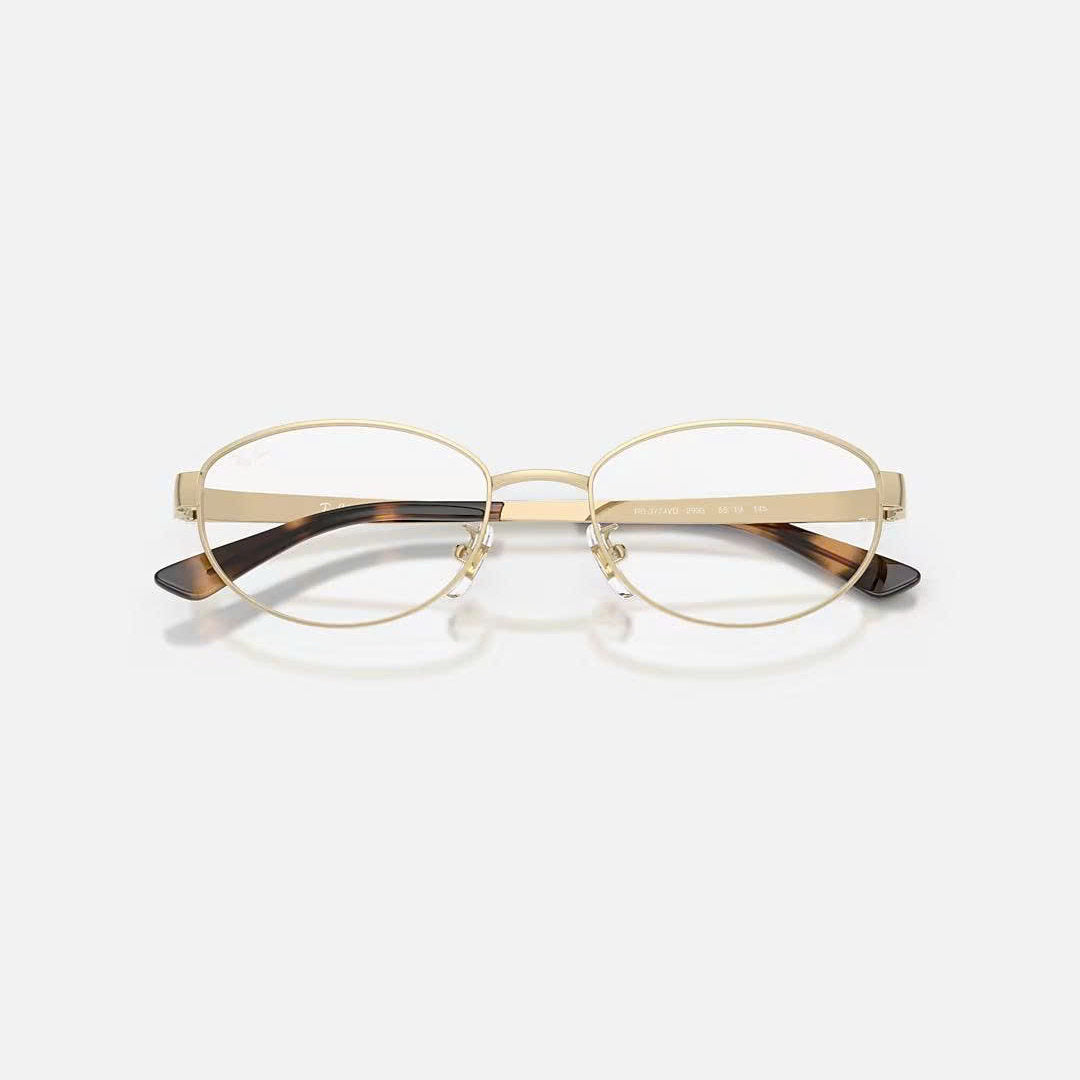 RAYBAN GLASSES 19