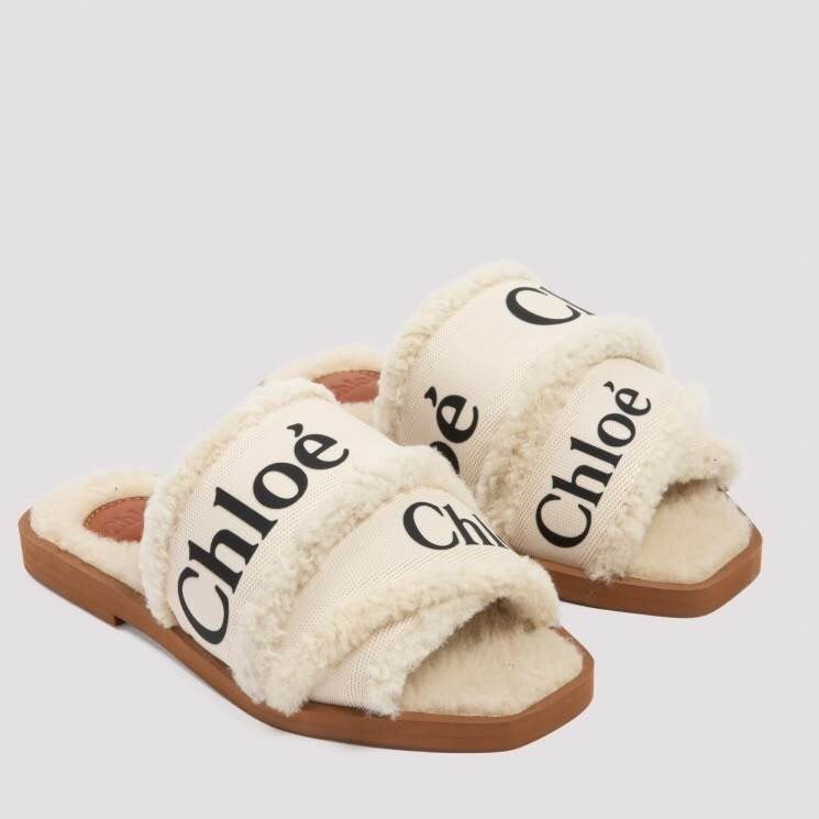 CHLOÉ SLIDES 04