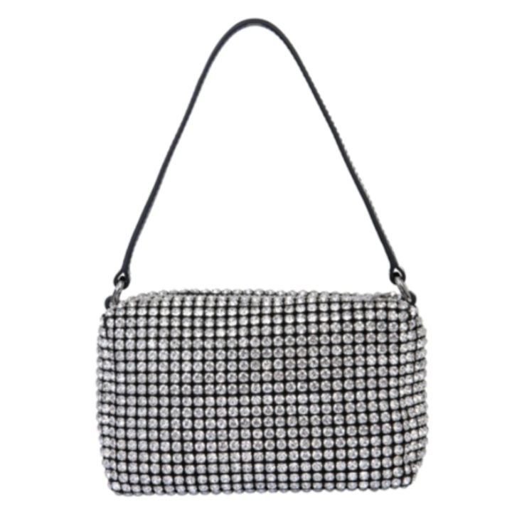 ALEXANDER WANG BAG 01