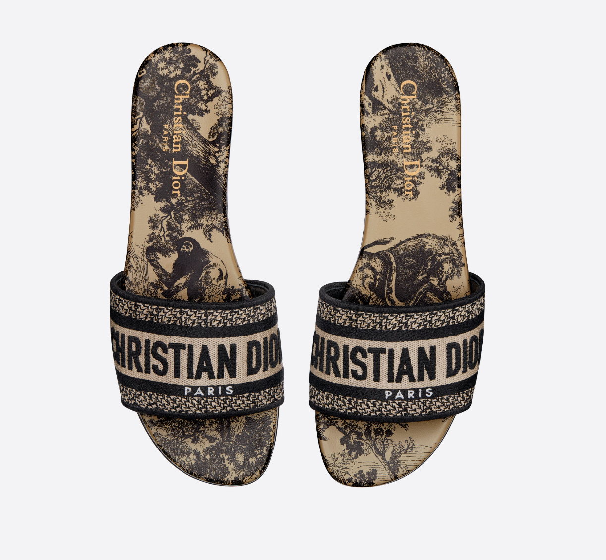 DIOR SLIDES