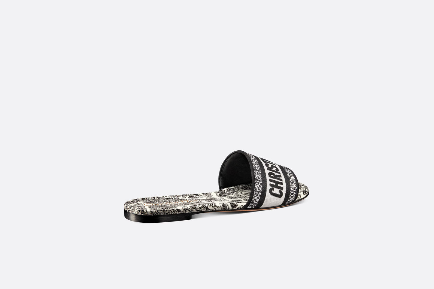 DIOR SLIDES