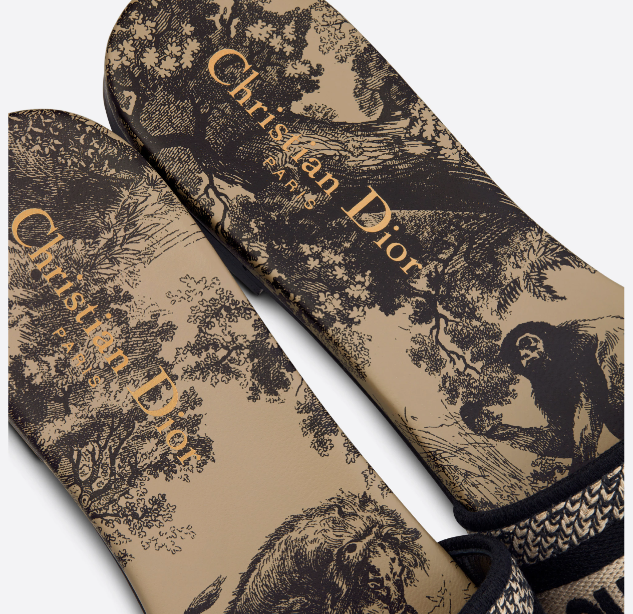 DIOR SLIDES