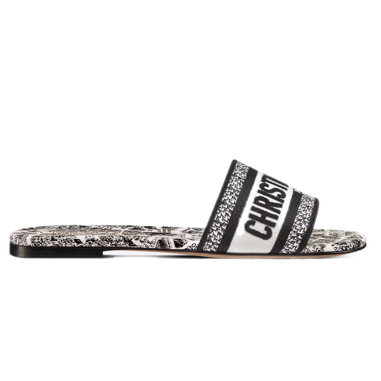 DIOR SLIDES