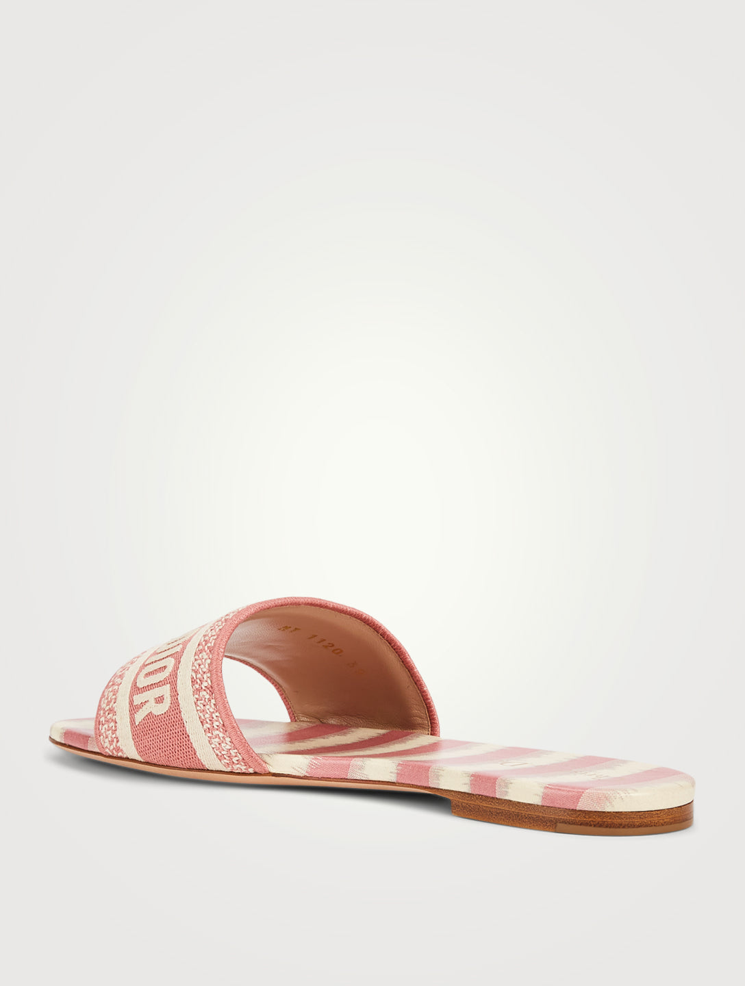 DIOR SLIDES 01