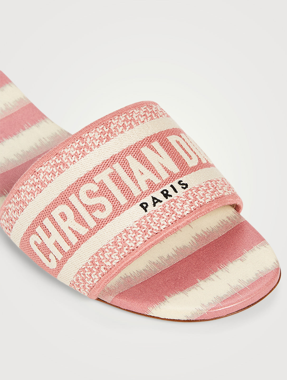 DIOR SLIDES 01