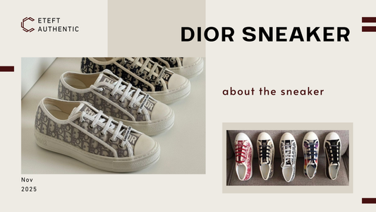 Top Lý Do Vì Sao Sneaker Dior Trở Thành Món Đồ Must-Have Trong Tủ Giày Hiệu Của Bạn