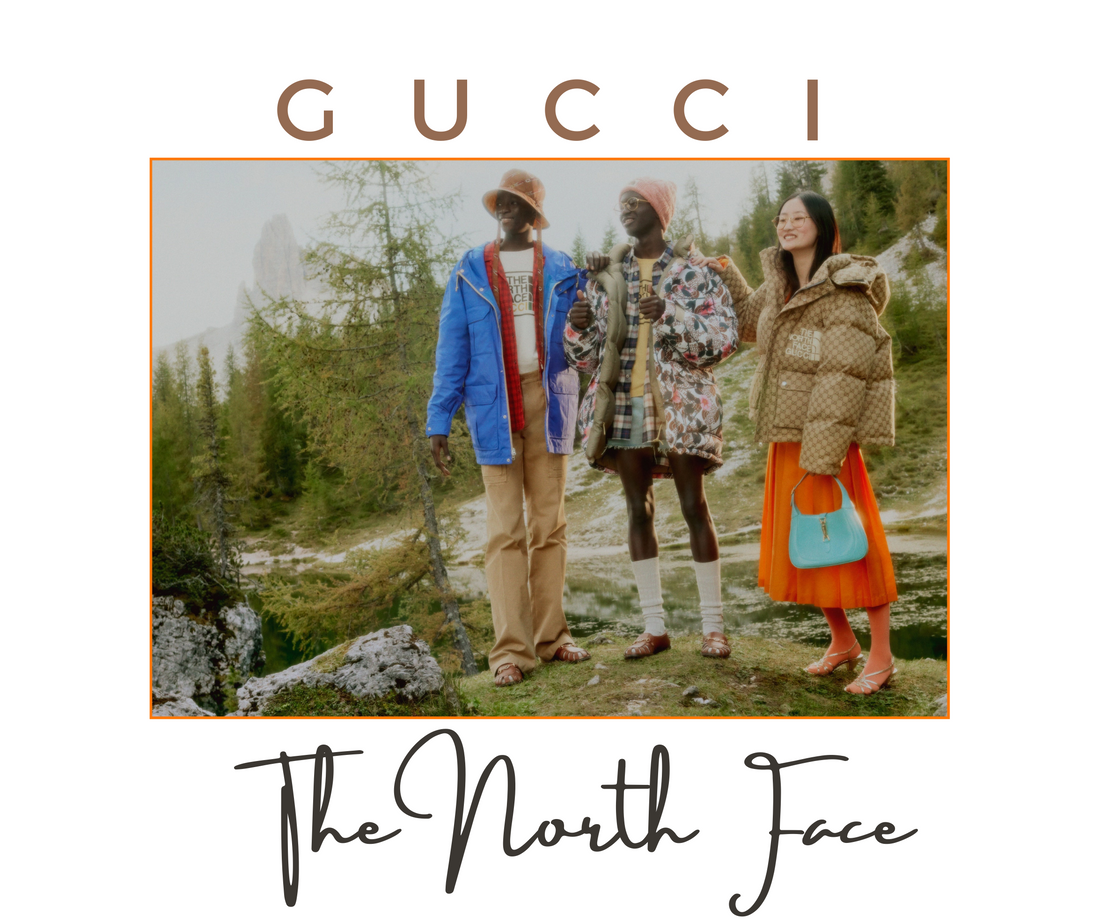 Gucci X The North Face: Sự Giao Thoa Giữa Thời Trang Cao Cấp Và Phong Cách Outdoor