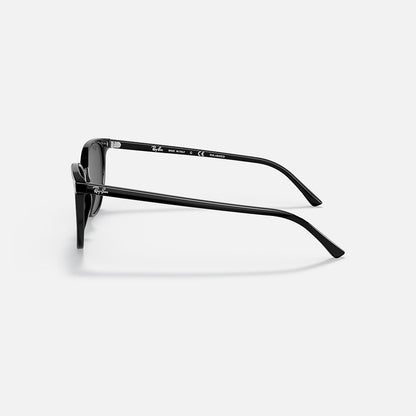 RAYBAN GLASSES 41
