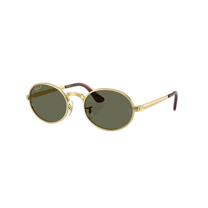 RAYBAN GLASSES 68