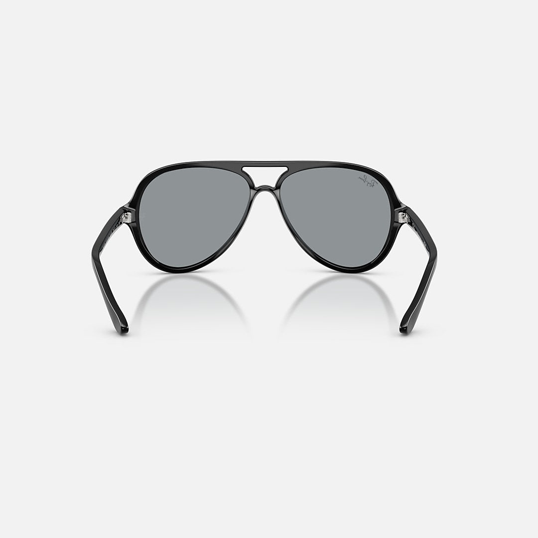 RAYBAN GLASSES 79