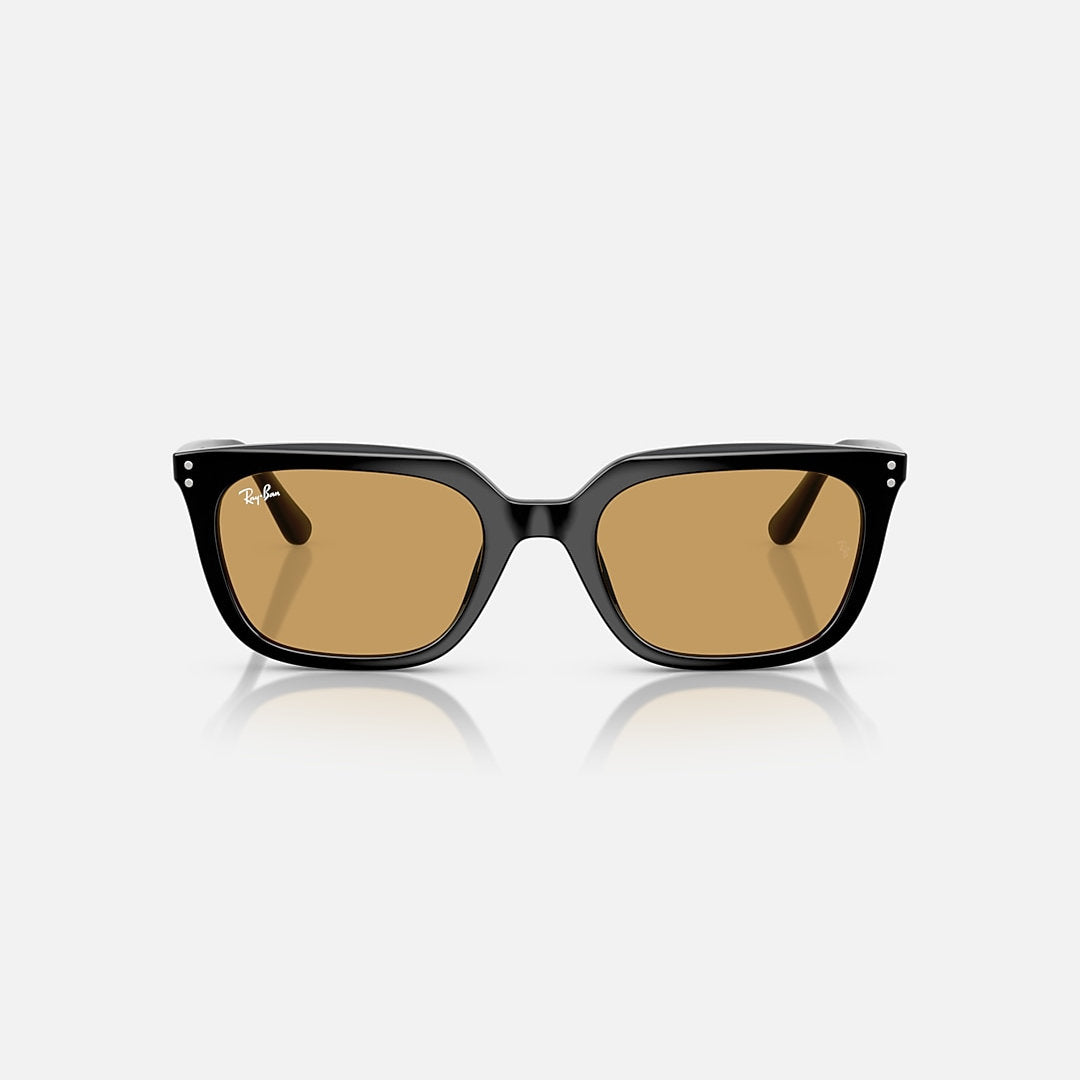 RAYBAN GLASSES 76