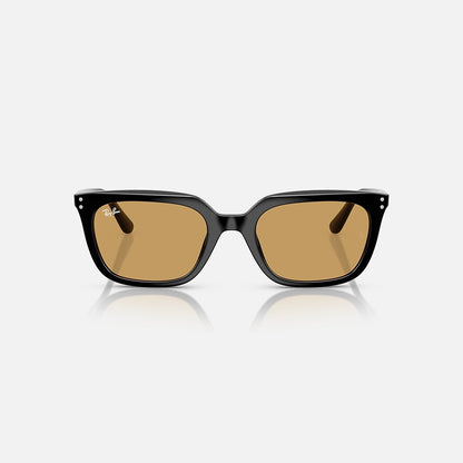 RAYBAN GLASSES 76