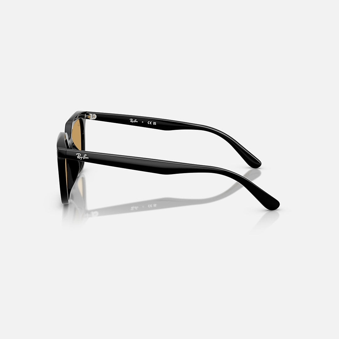 RAYBAN GLASSES 76