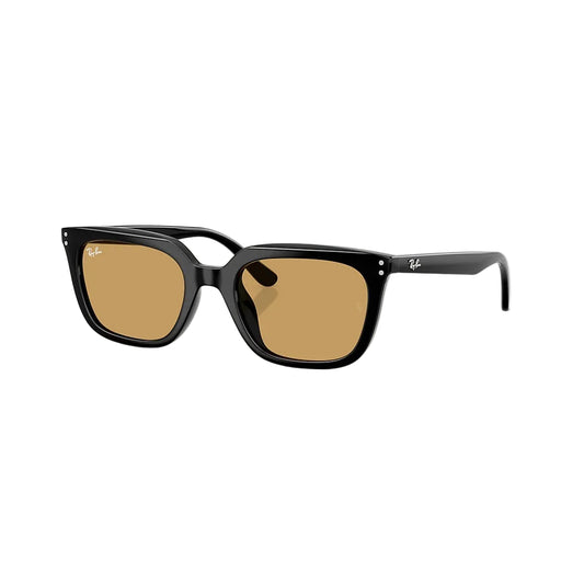 RAYBAN GLASSES 76