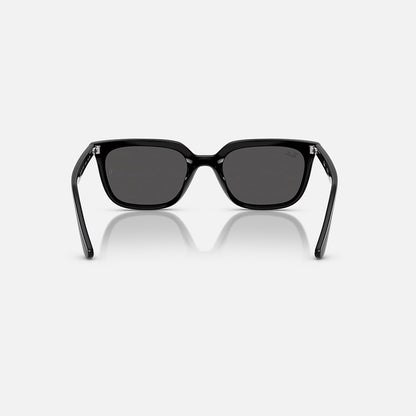 RAYBAN GLASSES 37