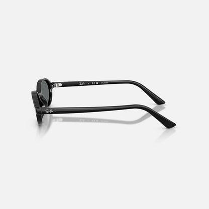 RAYBAN GLASSES 67