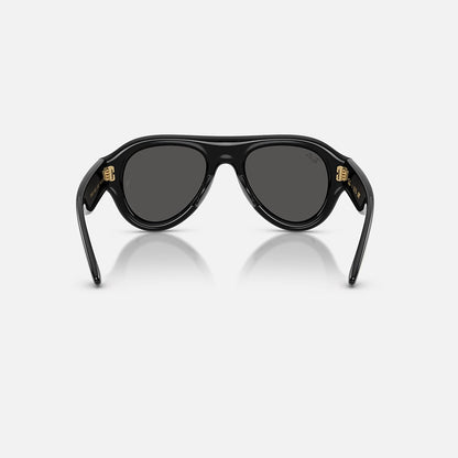 RAYBAN GLASSES 42