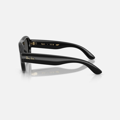 RAYBAN GLASSES 42