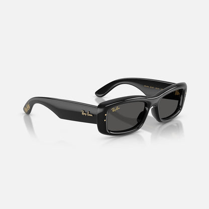 RAYBAN GLASSES 73