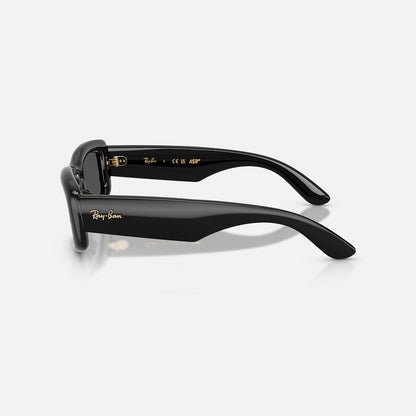 RAYBAN GLASSES 73