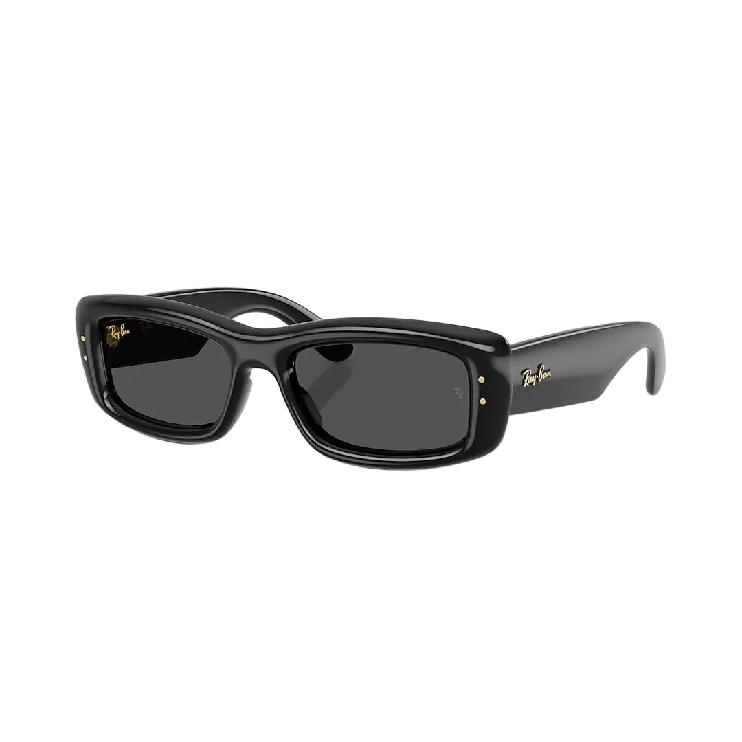 RAYBAN GLASSES 73