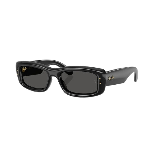 RAYBAN GLASSES 73