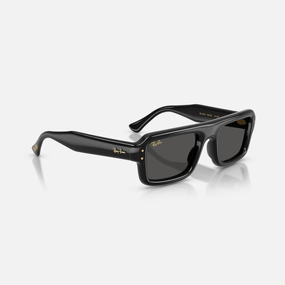 RAYBAN GLASSES 66