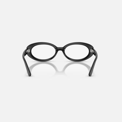 RAYBAN GLASSES 31