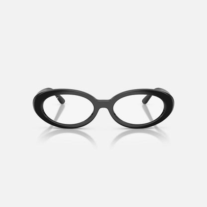 RAYBAN GLASSES 31
