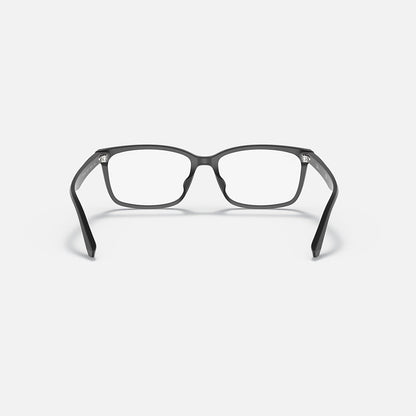 RAYBAN GLASSES 35