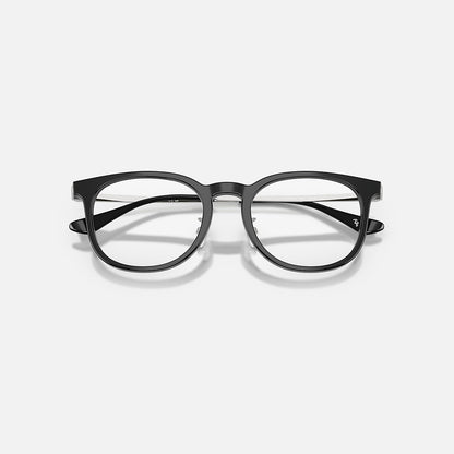 RAYBAN GLASSES 29
