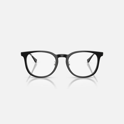 RAYBAN GLASSES 29
