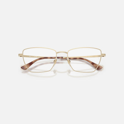 RAYBAN GLASSES 49