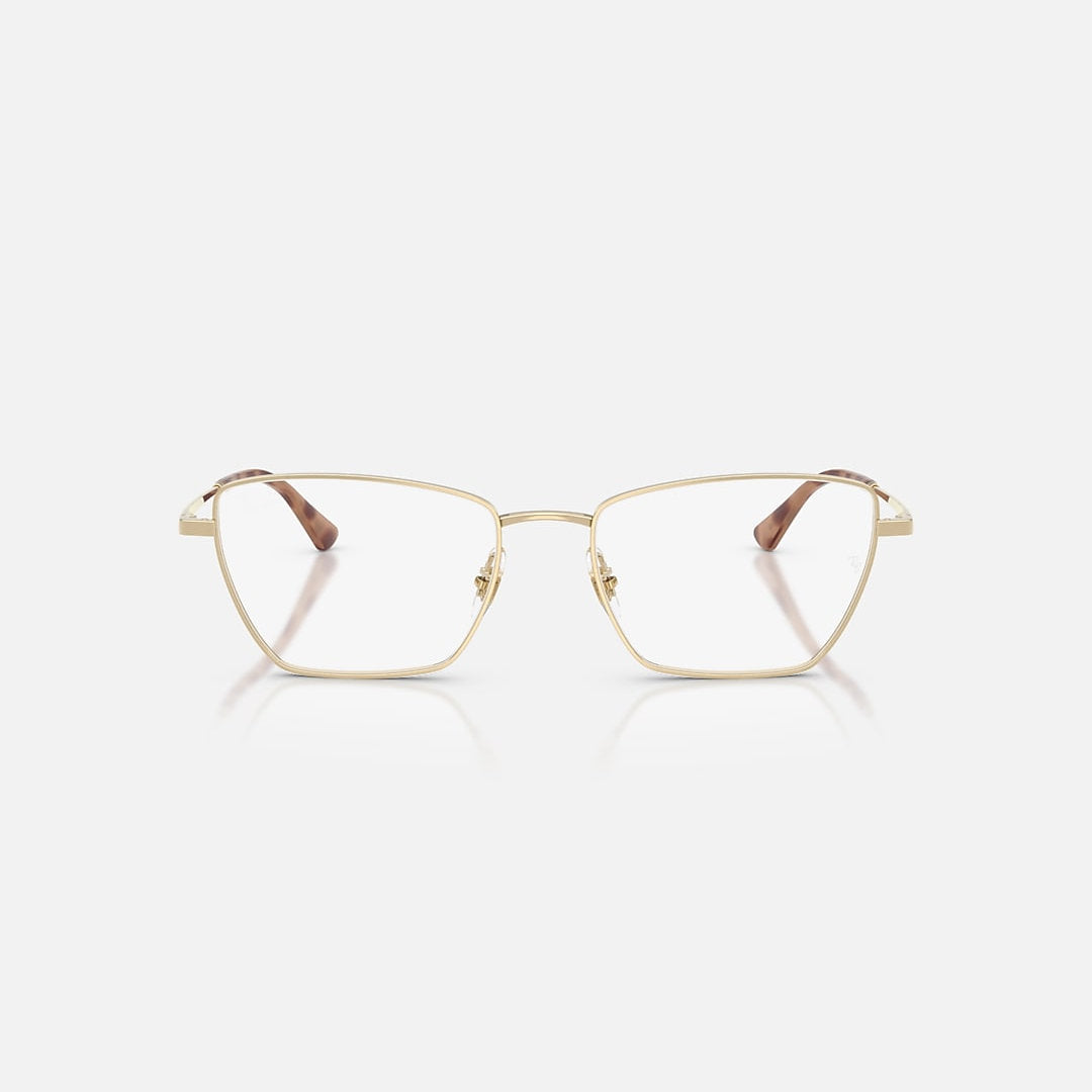 RAYBAN GLASSES 49