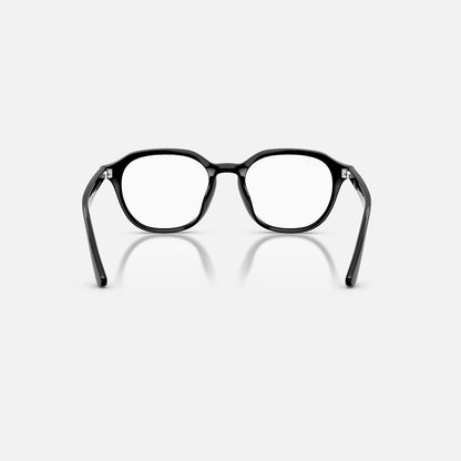 RAYBAN GLASSES 25