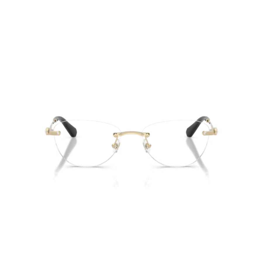 SWAROVSKI GLASSES 20