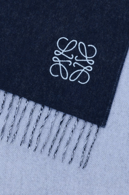 LOEWE SCARF 01