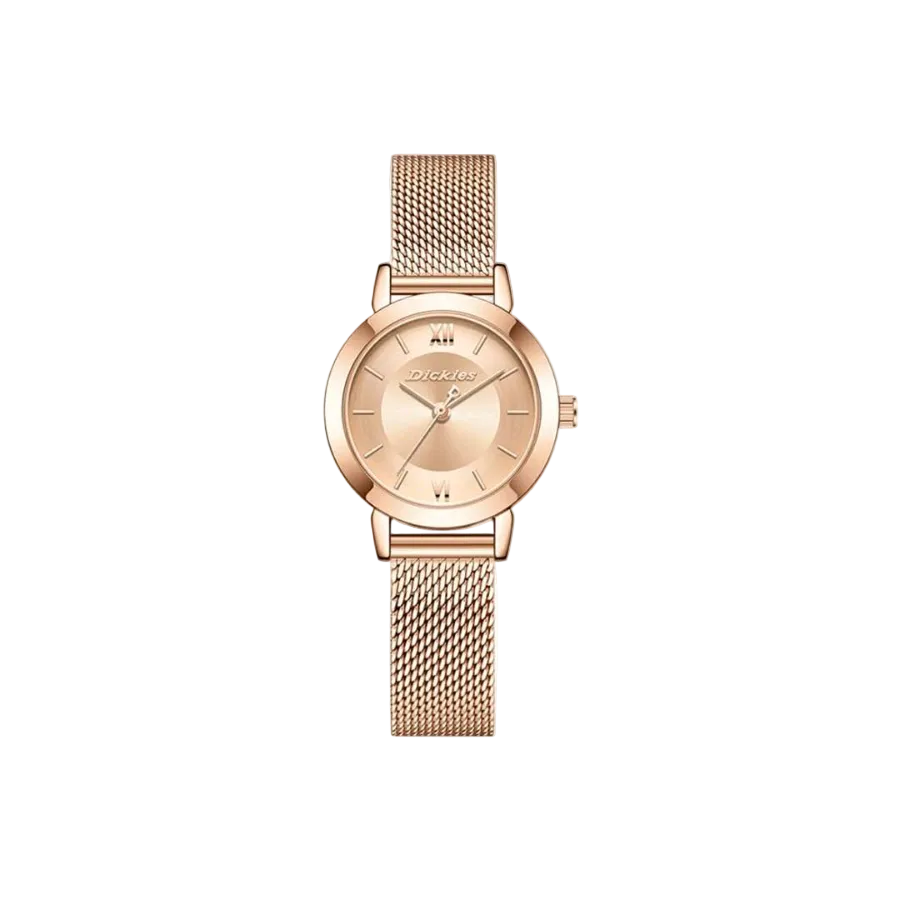 DICKIES WATCHES 17
