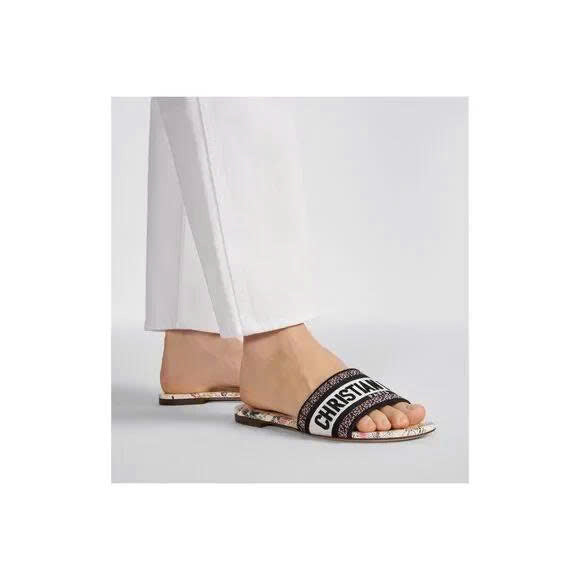 DIOR SLIDES 17