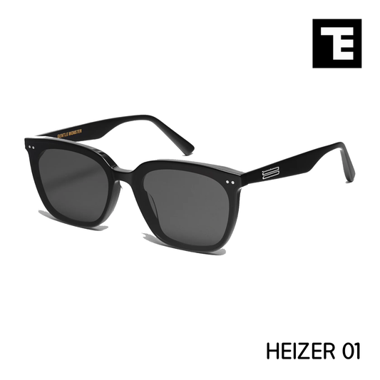 GM HEIZER 01