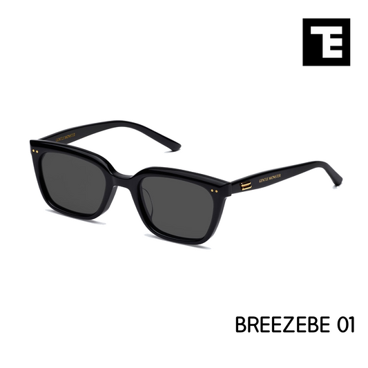 GM BREEZEBE 01