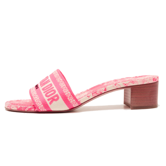 DIOR SLIDES 11