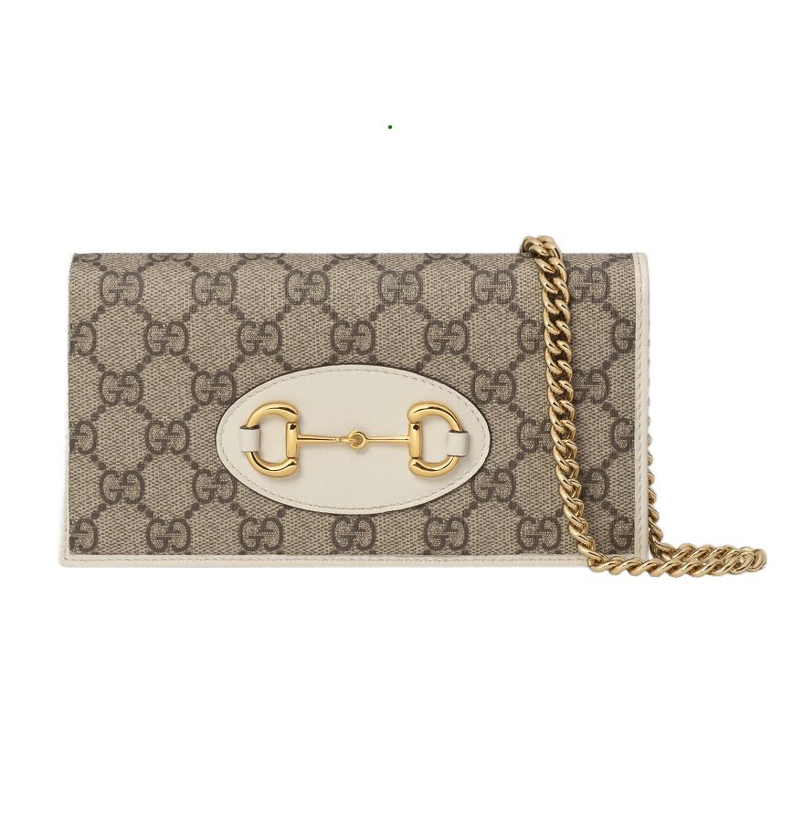 GUCCI BAG 105