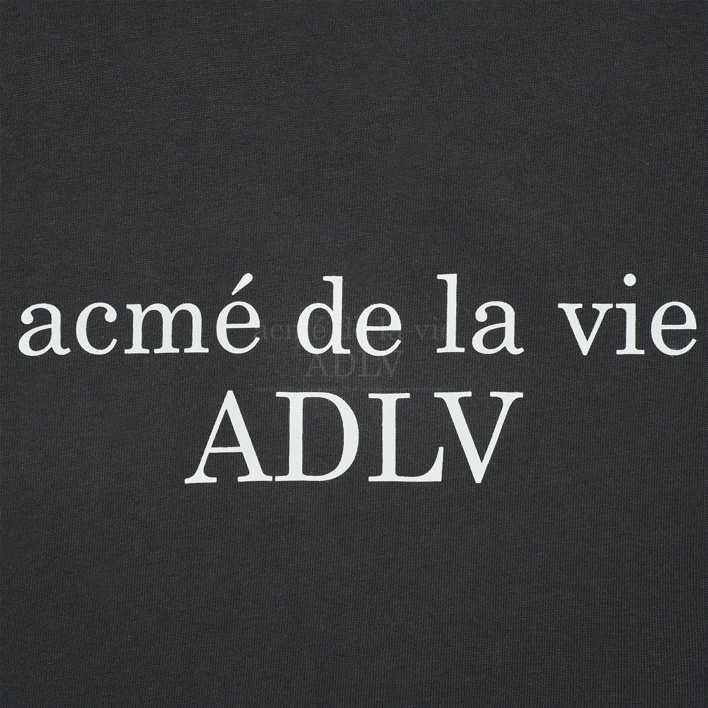 ADLV T-SHIRT 67 (GREY)